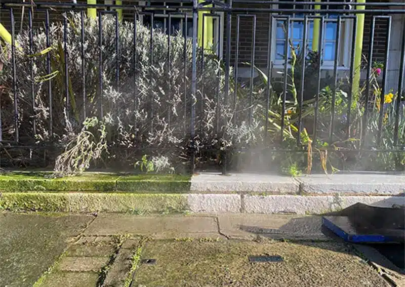 Steam cleaning process on brick surface, showcasing effective paint removal technique, with adjacent plants and fencing visible, highlighting Environ Restoration Services' expertise in brick restoration.