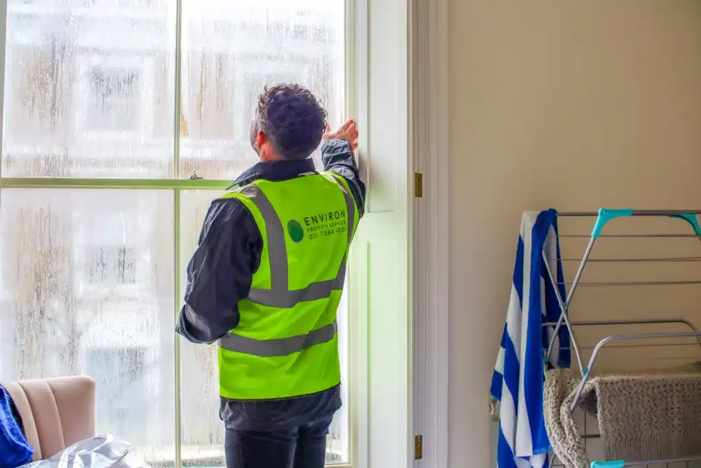 Damp proofing specialist from Environ Restoration Services inspecting condensation on window in residential property, highlighting damp issues and the need for professional treatment.