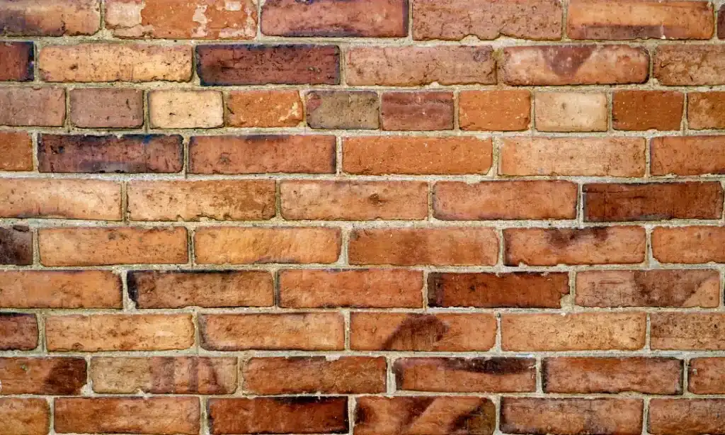 Close-up of a brick wall showcasing various shades of red and brown bricks, highlighting texture and surface condition relevant to brick cleaning and maintenance.