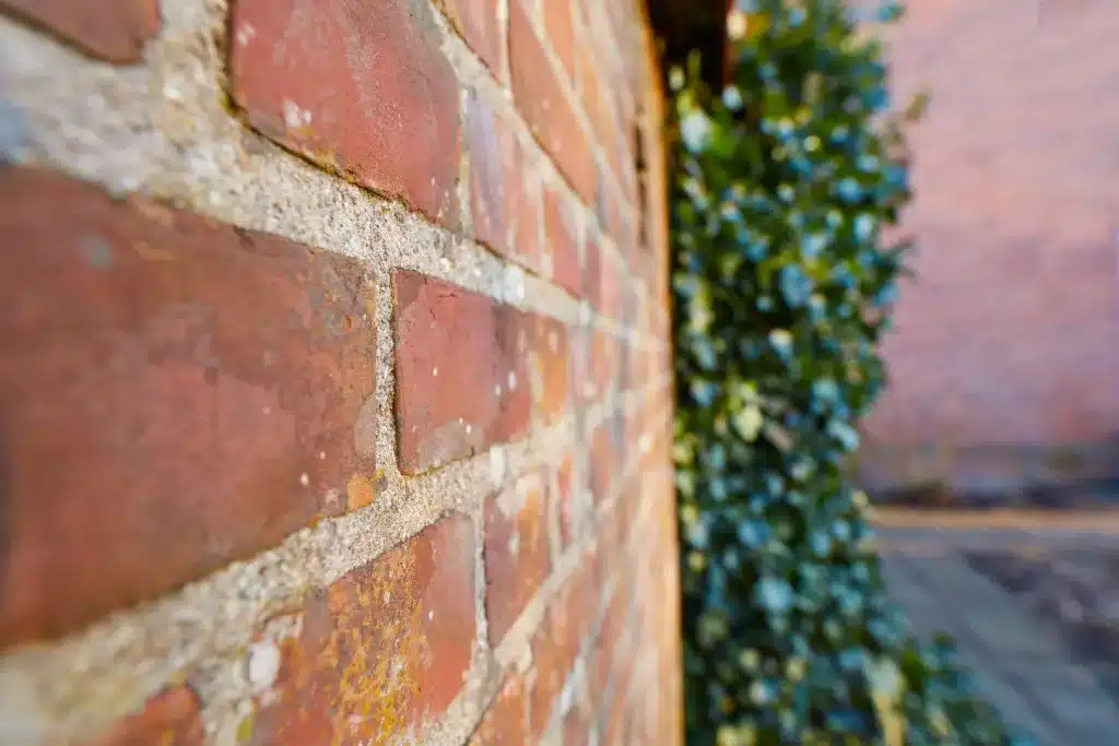 Close-up of a brick wall showing dirt and grime buildup, with green foliage in the background, highlighting the need for regular brick cleaning to prevent damp and mould growth.