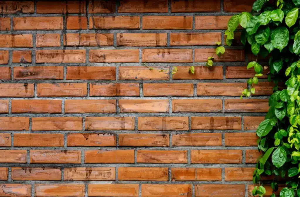 Brick wall with green vines, illustrating the importance of brick maintenance and cleaning for property restoration.